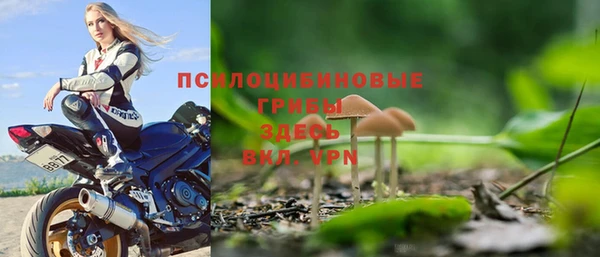 мяу мяу мука Армянск