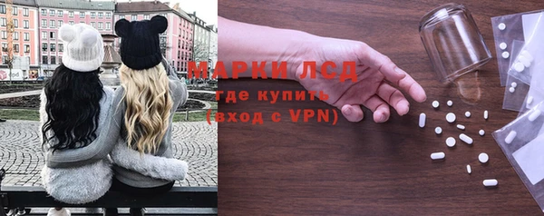 шишки Аркадак