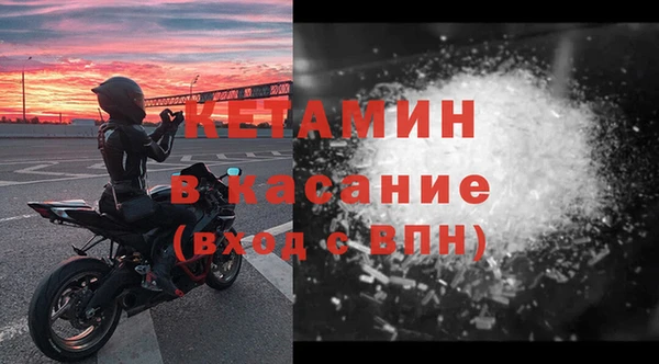 шишки Аркадак