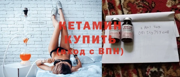 шишки Аркадак