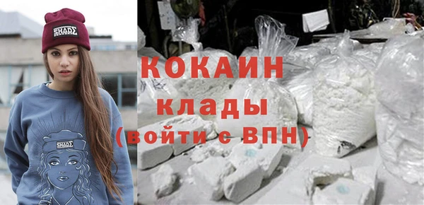 шишки Аркадак