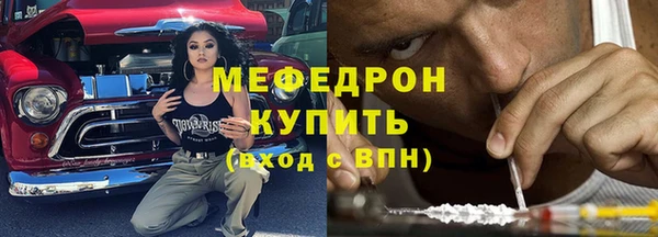 шишки Аркадак
