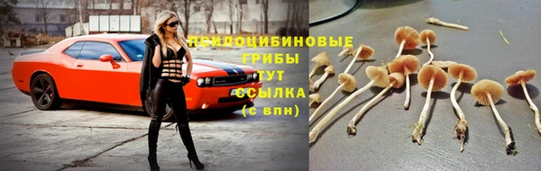 мяу мяу мука Армянск